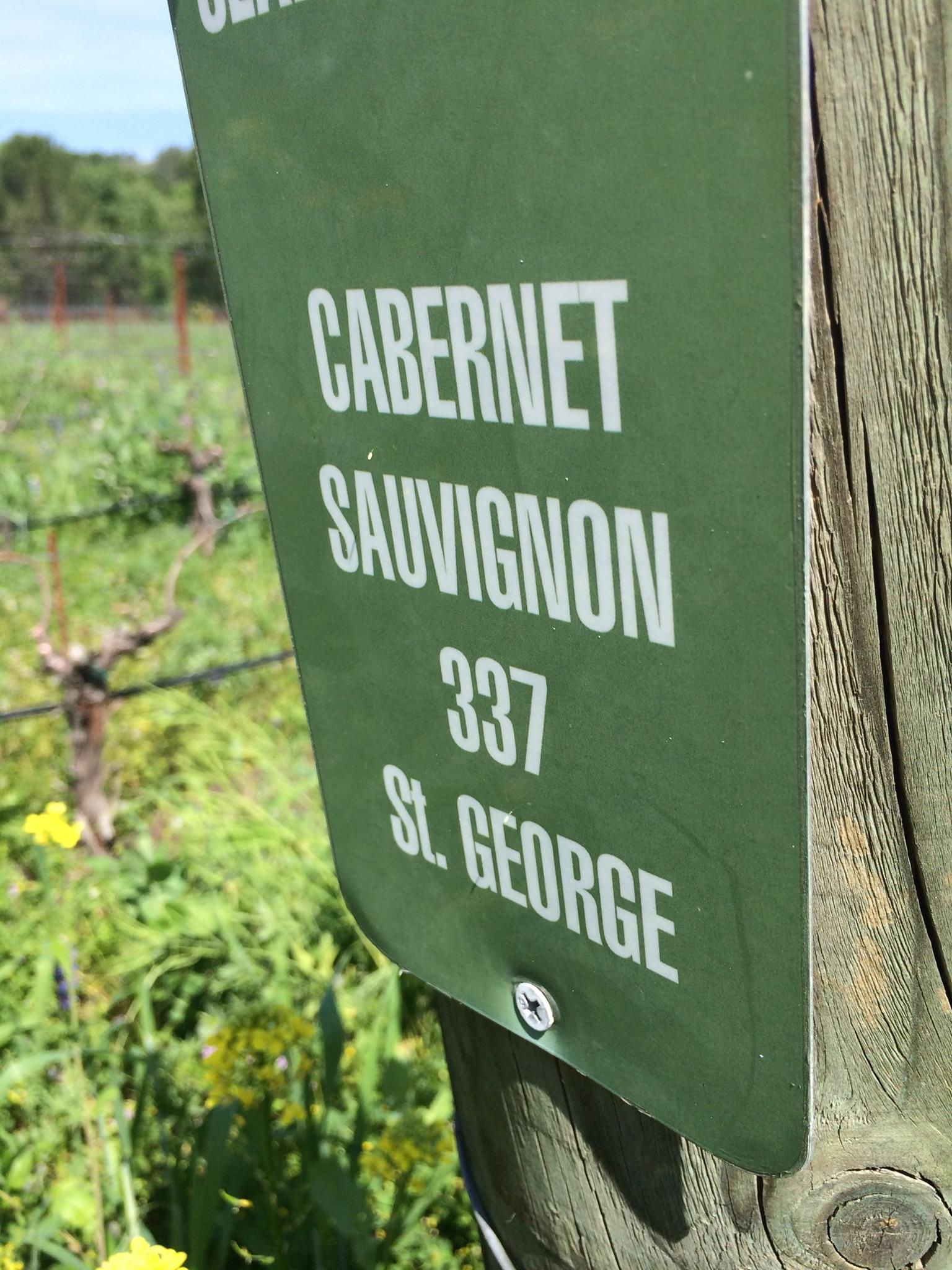 Next Door Wine Estate